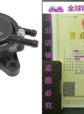 极速Stens 520-441 FuelZ Pump