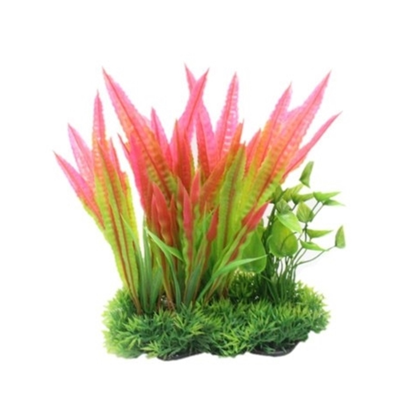 极速水草造景鱼缸里的家用真草淡水水箱小型景观T摆件莲水培装饰