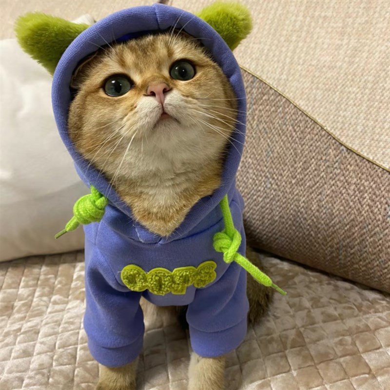 极速潮牌宠物猫咪衣服卫衣加厚保暖布F偶银渐层英短小狗狗冬季宠