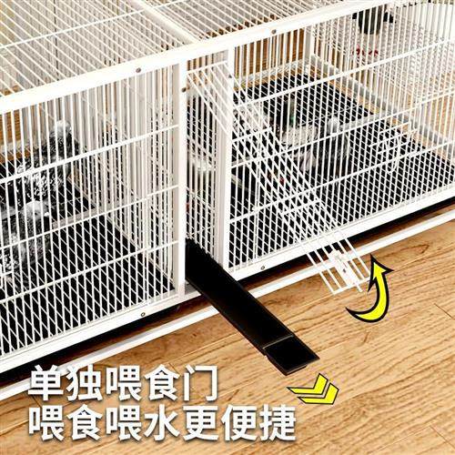 极速鸽子配c对笼养殖加密鸽子笼繁育虎皮鹦鹉鸟笼室内加密宠物笼,宠物/宠物食品及用品,宠物鸡/鸭/鸽笼,淘宝优惠券,粉丝福利购,淘宝优惠卷