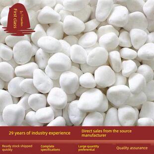 白色鹅卵石庭院铺装天然庭院阳台景观美化盆栽鱼缸景观美化白色石