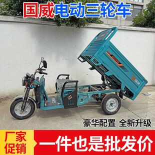 国威电动三轮车拉货家用接送孩子新款载重王大功率电瓶车厂家直销