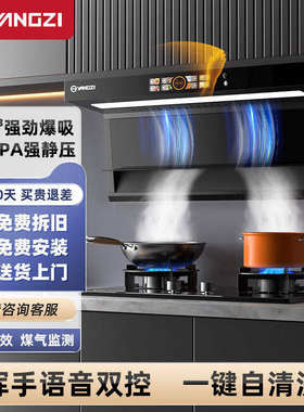 扬子抽油烟机顶侧双吸家