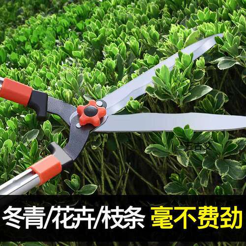 园艺大剪刀花木树枝修剪