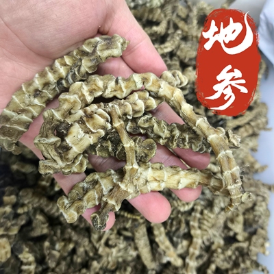 地参中药材虫草参地蚕子地笋龙菜