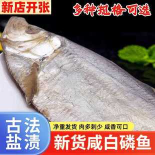 ly新货白鳞鱼 不是霉香白鳞鱼咸鱼干货自晒清蒸鱼海鱼500g海鲜干