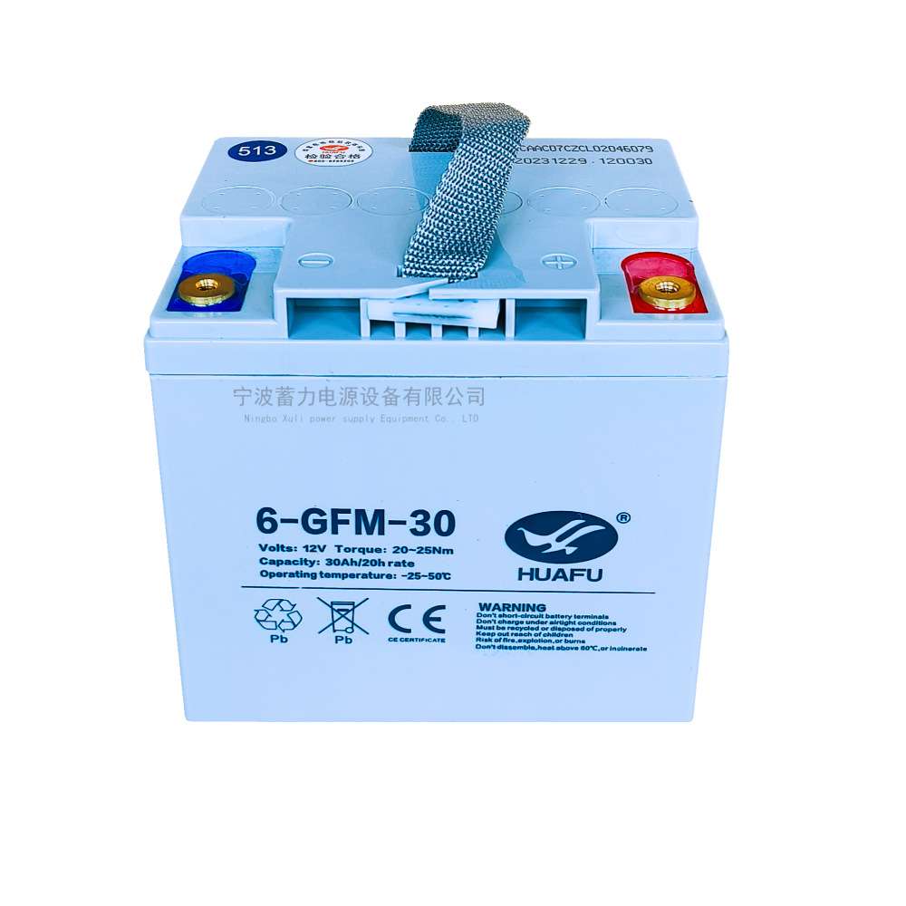 中力大金刚叉车6GFM30蓄电池电动托盘搬运车12V30AH免维护电瓶