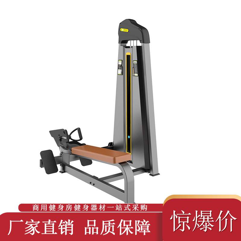 商用健身器材 坐式低拉背训练器 拉背训练器 背肌训练器