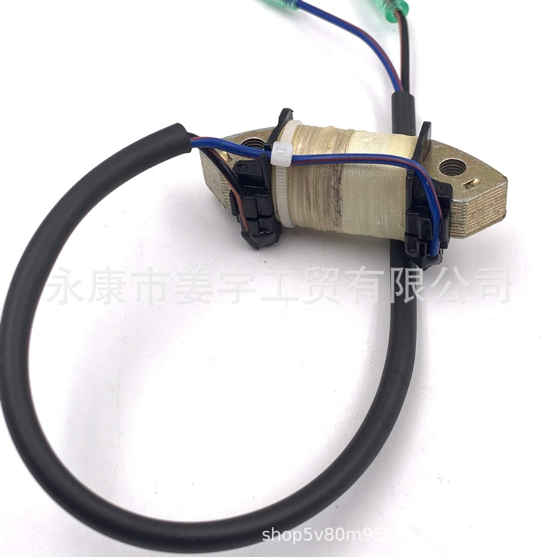 用于东发4冲程9.8马力F9.8舷外机配件充电线圈 船外机3V1-06021-0