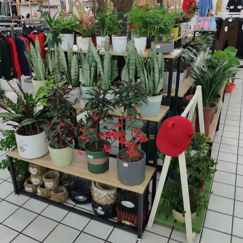 花架阳台置物架铁艺阶梯室内落地花盆架鲜花店摆花展示架货架