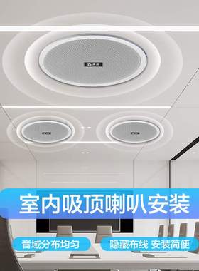 惠度（HuiDu）公共广播RS-508H专业带后盖天花喇叭会议室吸顶音响