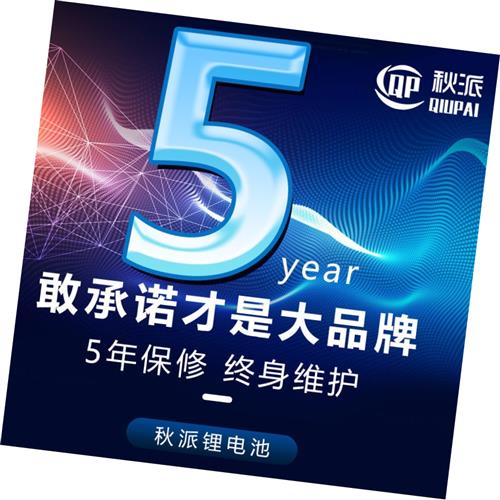 极速洛佳电动车电瓶l48V锂72V大容量60伏52安三轮100公里