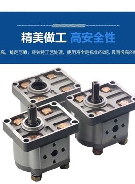 极速。齿b轮泵液压油泵CBN-F310F314F306F320F325F316淮安万科液