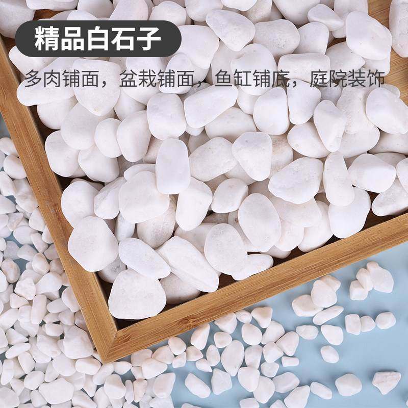 极速小白石子多肉铺面石鹅卵石鱼缸造景白色石头花盆栽Z装饰庭院,家居饰品,创意礼品,淘宝优惠券,粉丝福利购,淘宝优惠卷