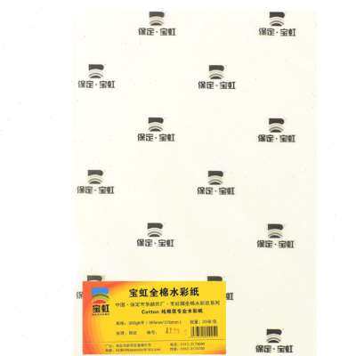 极速宝虹棉浆水彩纸30p0g中粗细纹8K 4K半开全开初学者2开分装对