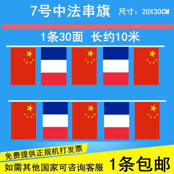 彩旗法旗国旗万国挂法国装饰7号旗小国旗吊旗三角法国 串旗中中国