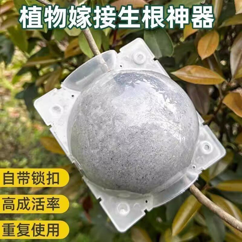植物高压嫁接盒繁殖球生根包控根神器果树扦插育苗背枝园艺繁殖盒