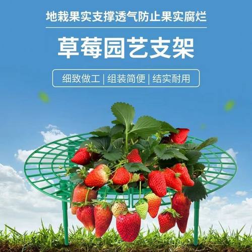草莓支架托盘盆栽神器