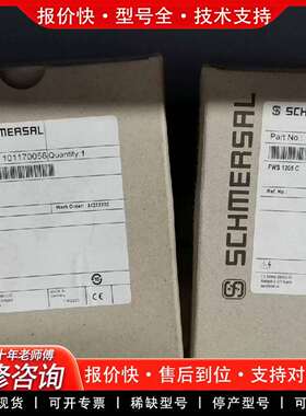 可维修施迈赛安全继电器FWS1205C，型号1011议价