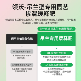 吊兰专用颗粒缓释肥家用养花肥料植物通用花肥金边吊兰盆栽专用肥