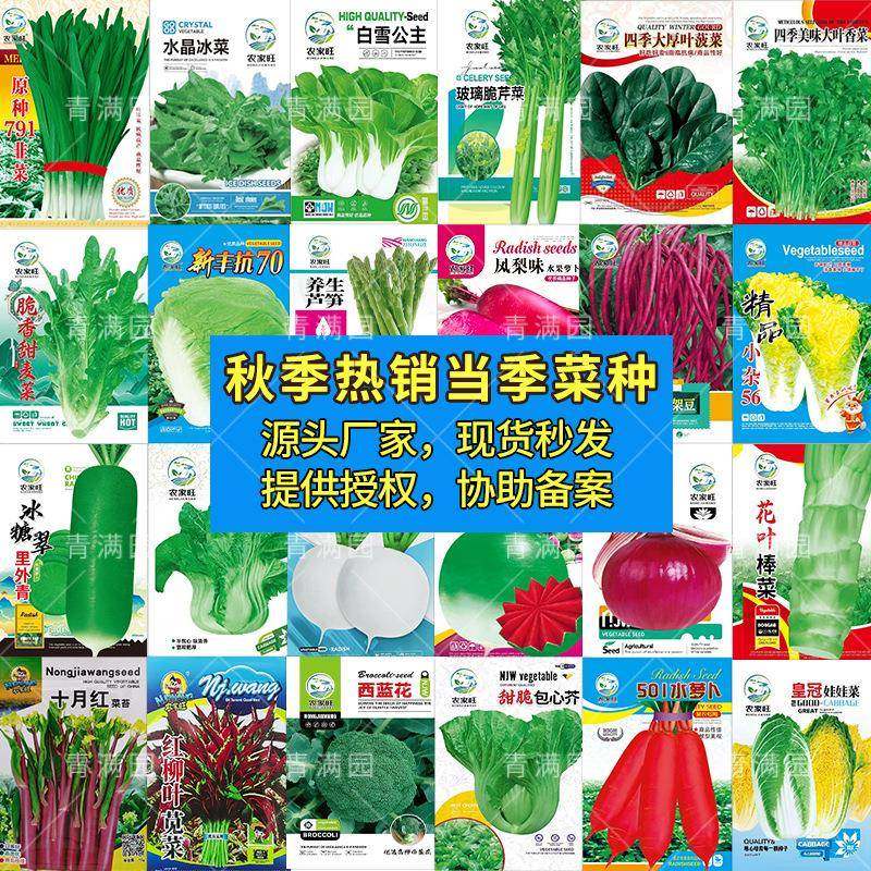 当季热销秋冬季蔬菜种子大全白菜萝卜青菜孔雀菜甘蓝松花菜肥菜籽,鲜花速递/花卉仿真/绿植园艺,家庭园艺肥料,淘宝优惠券,粉丝福利购,淘宝优惠卷