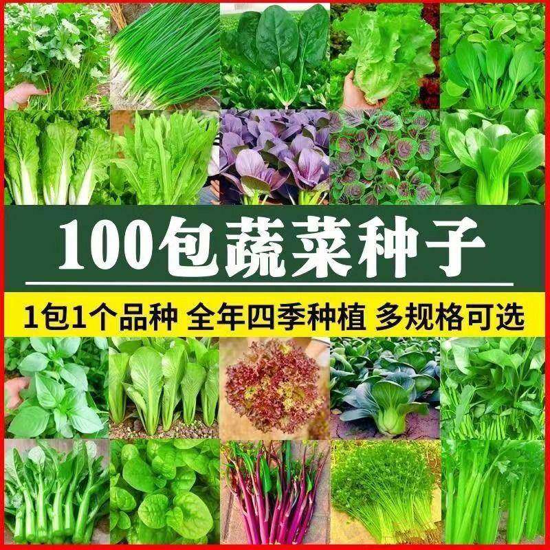 多款冬秋四季蔬菜种子大全室内外阳台庭院播种香菜生菜白菜蔬菜种,鲜花速递/花卉仿真/绿植园艺,土壤覆盖物,淘宝优惠券,粉丝福利购,淘宝优惠卷