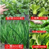 蔬菜种子四季 园艺用品播种萝卜香菜籽生菜葱蒜辣椒白菜种菜籽大全