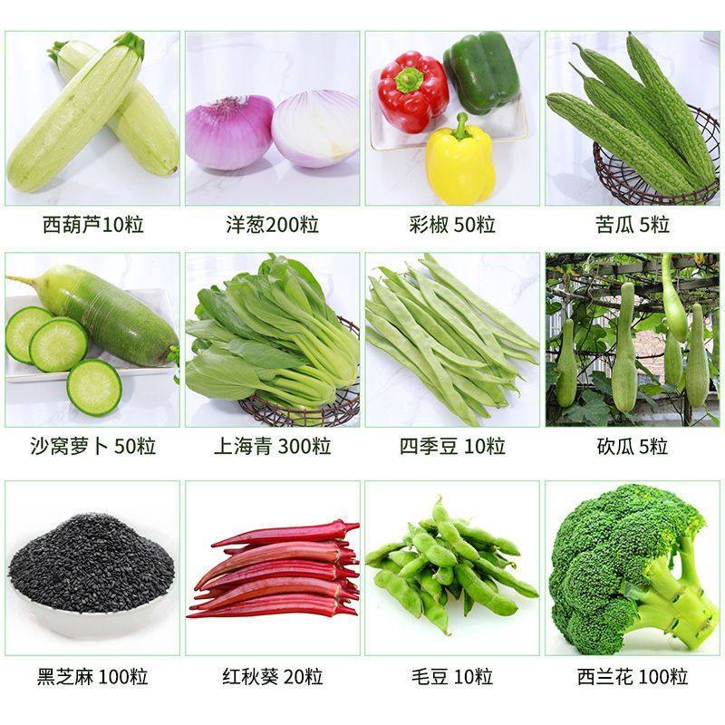 蔬菜种子大全粉丝特惠四季适播西瓜甜瓜黄瓜番茄家庭阳台露天种植