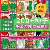 66种开春季 蔬菜子植物套餐丝瓜黄瓜辣椒蔬豆角玉种米茄春子农去虫