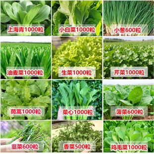 100种春季春蔬菜子茄餐丝瓜黄瓜辣椒开HICR套EAT豆角蔬玉种米子农