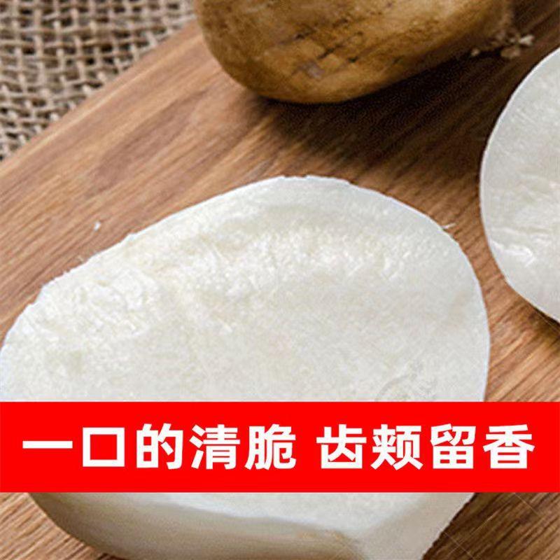 牧马山地瓜种子凉薯种子又甜又脆超爽口季水果蔬菜种子四南北可种