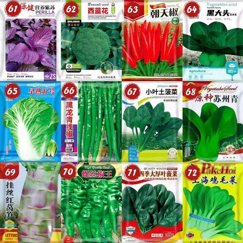 66种开春季春蔬菜子套餐丝瓜黄瓜辣椒HI米CR蔬EAT豆角玉种茄子农