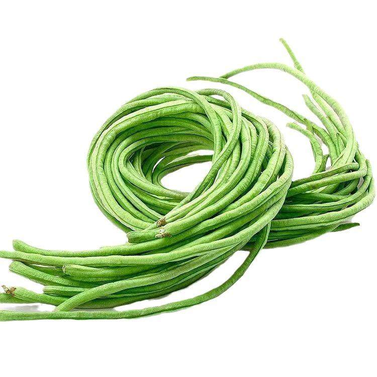 特长干枝梅豆子角种无筋丰产豇豆角春夏四季农家蔬菜种子大全,鲜花速递/花卉仿真/绿植园艺,土壤覆盖物,淘宝优惠券,粉丝福利购,淘宝优惠卷