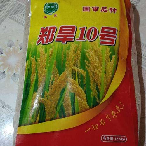 旱稻种子优质谷种郑旱10没号有旱优73抗旱地山地高产国审品种