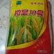 旱稻种子优质谷种郑旱10没号有旱优73抗旱地山地高产国审品种