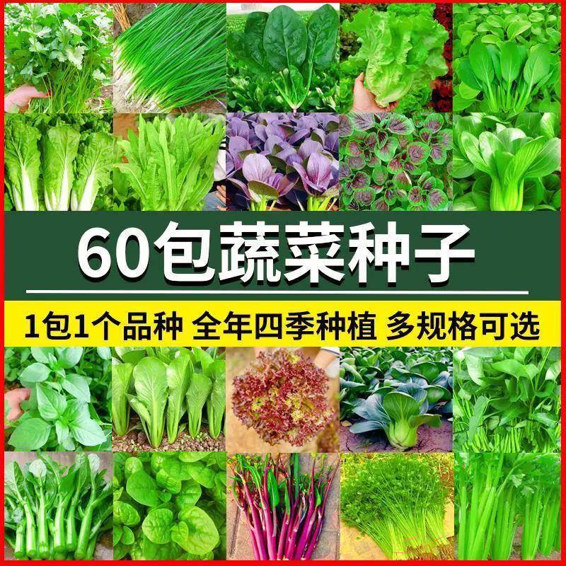 66种开春季春蔬菜子套餐丝瓜黄瓜辣椒HICR蔬E米AT豆角玉种茄子农