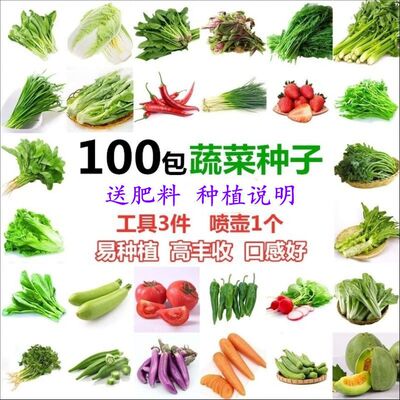 蔬辣菜种子四季白菜生小香葱菜播阳台盆栽椒萝卜瓜果秋种籽子大全