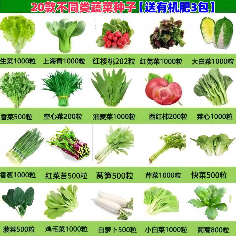蔬菜种子四季白菜葱生菜播阳台营养土盆栽种辣椒萝卜瓜果种籽大全
