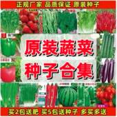 四季 蔬菜种子适合秋播种植青菜生菜香菠菜萝卜园艺用品阳台菜大全