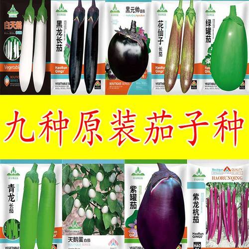 茄子种子菜大全紫茄种绿油茄子快圆茄子蔬长菜种子小园艺用品种菜