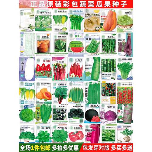 蔬菜种子四季播种盆栽阳台庭院香菜黄瓜萝卜生菜小葱菠菜籽孑大全