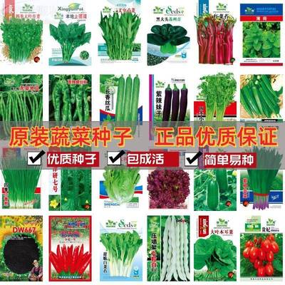 66种开春季春蔬菜子套餐丝瓜黄瓜辣椒HCR蔬IEAT豆角玉种米茄子农