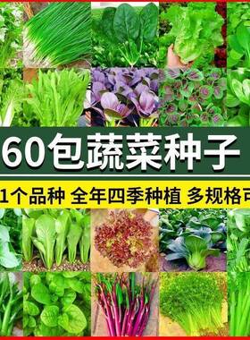 66种开春黄季春蔬菜子套餐丝瓜瓜辣椒HICR蔬EAT豆角玉种米茄子农