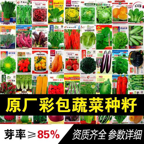 蔬菜种子四季播盆栽辣椒西孑瓜籽红苋菜香菜春季水果种植蔬菜大全