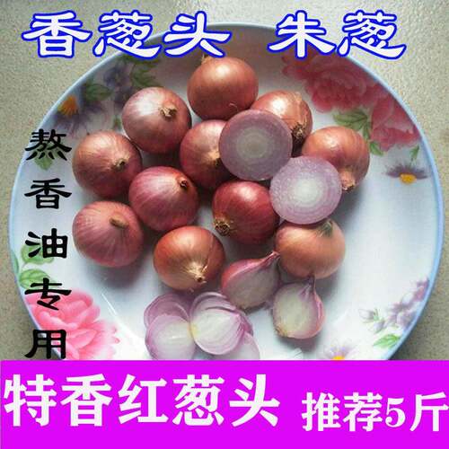 毛葱头特产鬼子葱现挖土壤新鲜葱种5斤小洋葱头迷你圆红葱头圆葱