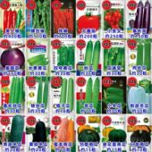 86种开春季 春蔬套菜子茄园艺用品餐丝瓜黄瓜辣椒豆角蔬玉种米子农