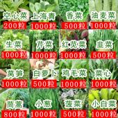蔬菜种子黄瓜番茄辣椒长豇豆角四季 豆生菜籽萝卜白菜园艺用品大全