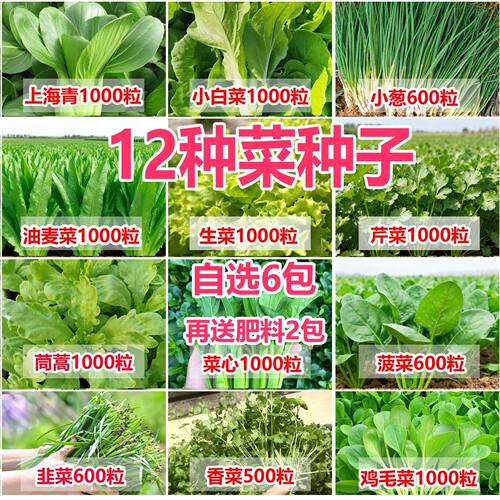 蔬菜种子香籽菜菠菜芹菜白菜辣椒南瓜生菜种阳台盆栽植物蔬菜大全