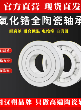 氧化锆全陶瓷轴承6200 6202 62036205 6207 6208 6210 6216CE耐腐