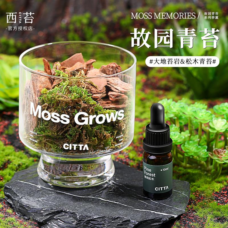 CITTA西苔 故园青苔系列松木无火香薰礼盒扩香石摆件香氛节日礼物